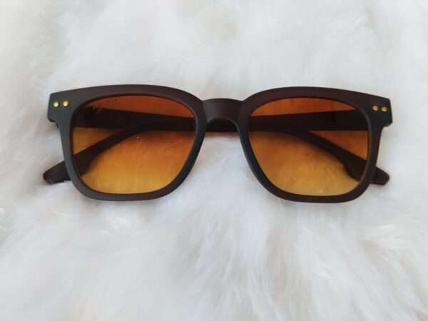 Brown Sunglasses